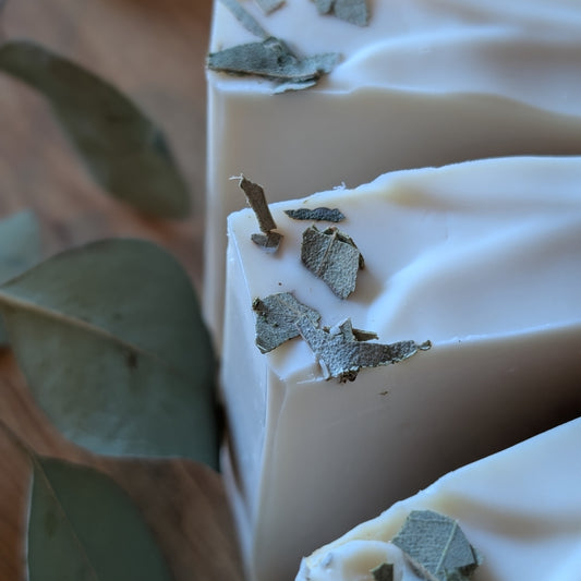 Palo Santo & Eucalyptus Soap